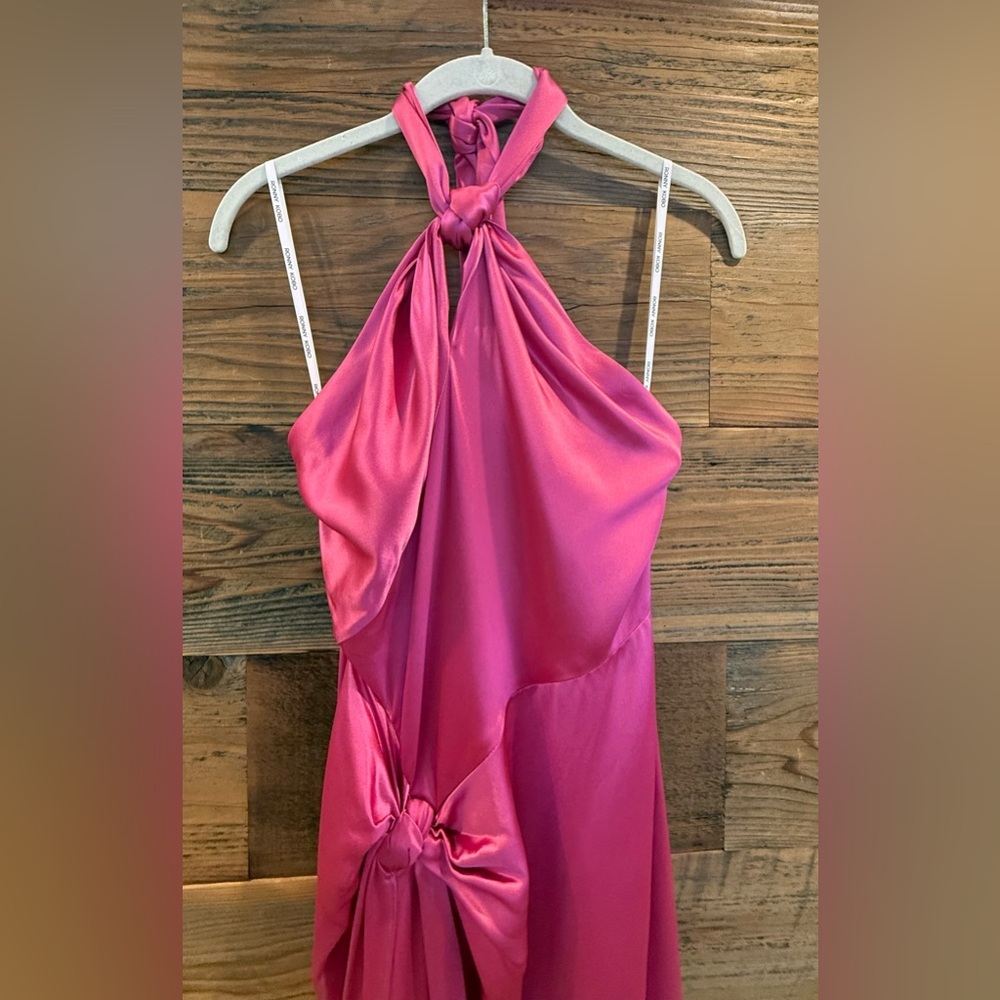 Ronny Kobo Collection Zadena Backless Vibrant Pink Maxi Halter Dress - Picture 9 of 15